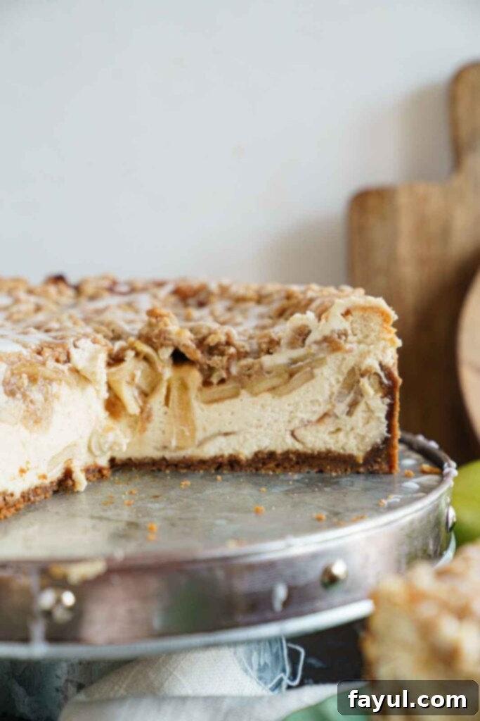 Close-up of apple crisp cheesecake slice showing layers of streusel, apple filling, creamy cheesecake, and Biscoff crust