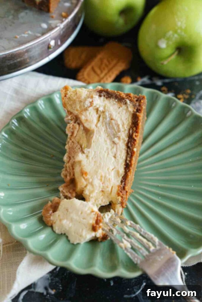 A slice of Apple Crisp Cheesecake with a golden streusel topping, creamy cheesecake, and chunky apple filling.