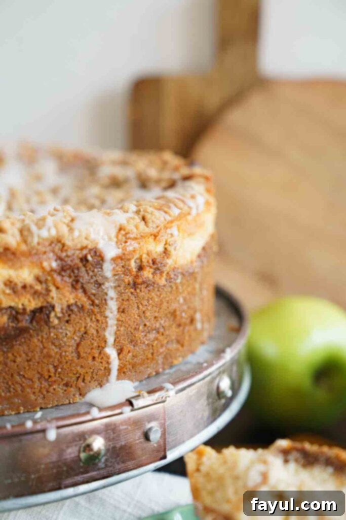 Top down view of a whole Apple Crisp Cheesecake in a springform pan, showing the streusel topping