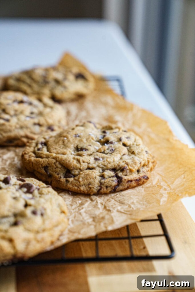 Two freshly baked brown butter chocolate chip cookies with melted chocolate