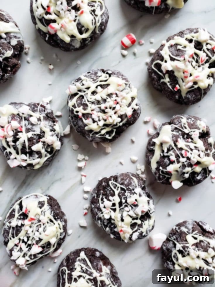 Overhead shot of chocolate cake cookies cooling on a white counter.