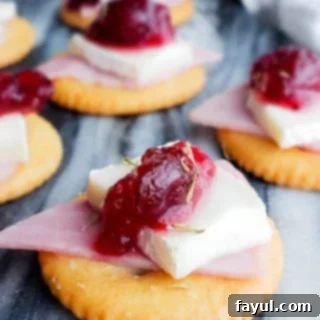 These Ritz Bites with Ham, Brie and Cranberries are the best bite-size appetizer recipe for the holiday season! Easy and ready in about 10 minutes these require no baking and are perfect for both kids and adults. Make you Thanksgiving, Christmas or New Years Eve perfect with these goodies! #appetizer #Christmas #Holidays