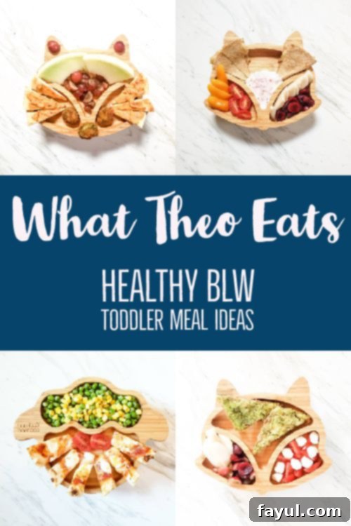 This is what my son eats. BLW meal ideas that include animal shaped plates. Each plate contains a different meal that is featured in the post. There is text in the middle with a blue background. 