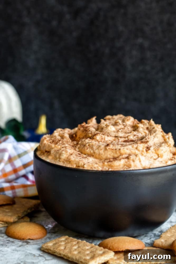 Wide shot of creamy pumpkin cheesecake dip in a black bowl on a white counter, with an assortment of vanilla wafers and graham crackers perfectly arranged around it, ready for dipping.