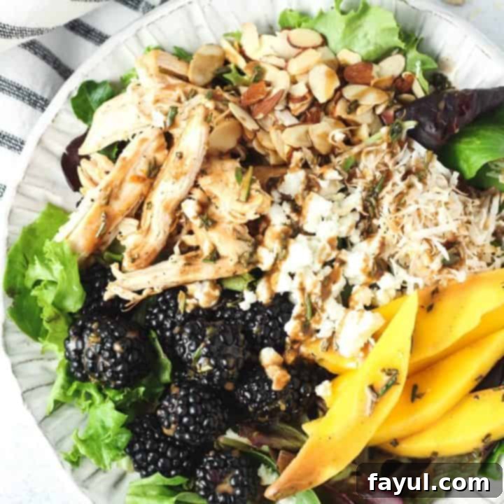 A refreshing and colorful blackberry mango chicken salad with a vibrant dressing, a light and healthy 20-minute meal.
