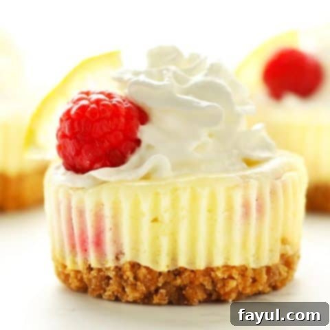 Delicious raspberry lemon mini cheesecakes, topped with fresh raspberries and lemon zest, showing an easy and perfect way to make cheesecake without a water bath.