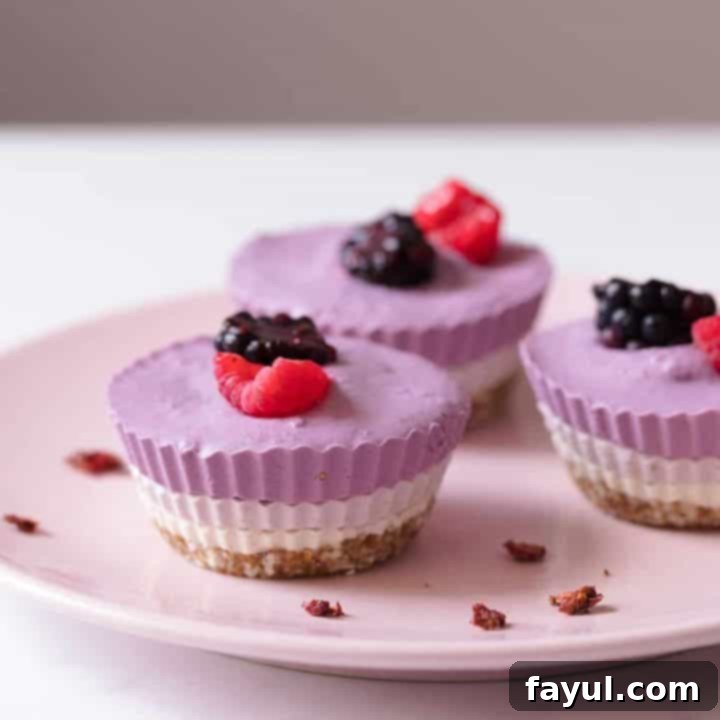 No-bake tricolor mini cheesecakes, featuring distinct layers of pink, white, and red, adorned with fresh berries, perfect for a Valentine's Day treat.