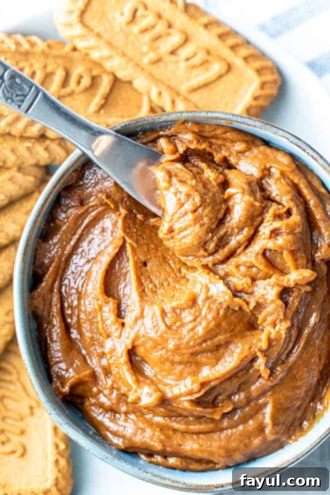 The 5-Minute Cookie Butter Hack 2 Overhead shot of golden brown cookie butter in a rustic bowl with a silver knife resting in it, ready to be spread.
