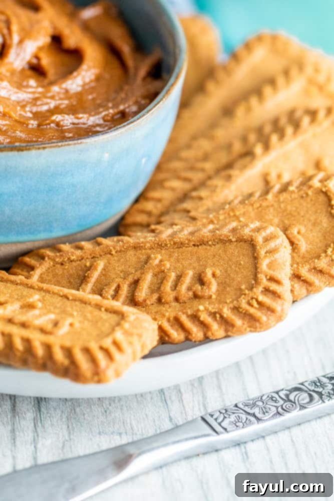 The 5-Minute Cookie Butter Hack 3 Crispy cookies elegantly arranged on a white plate next to a small, inviting bowl of creamy cookie spread.