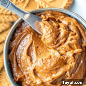 The 5-Minute Cookie Butter Hack 8 Overhead shot of cookie butter in a bowl with a silver knife in it.