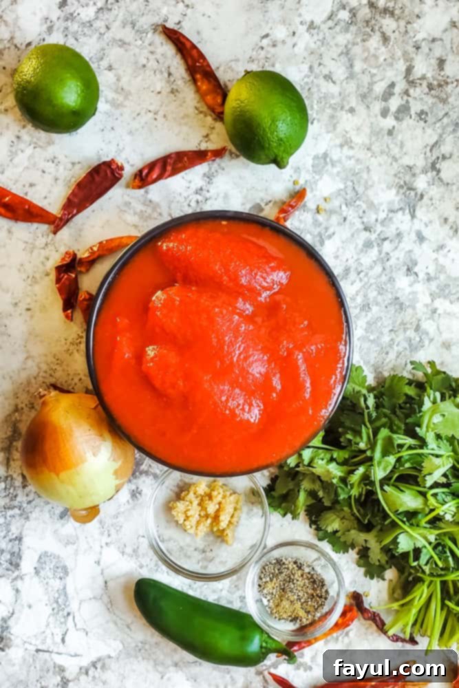 Overhead shot of fresh ingredients for restaurant style salsa: canned tomatoes, cilantro, lime, onion, garlic, and chilies, laid out on a white counter.